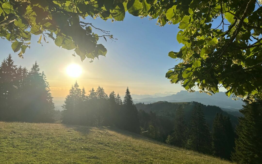 Sommeröffnungszeiten